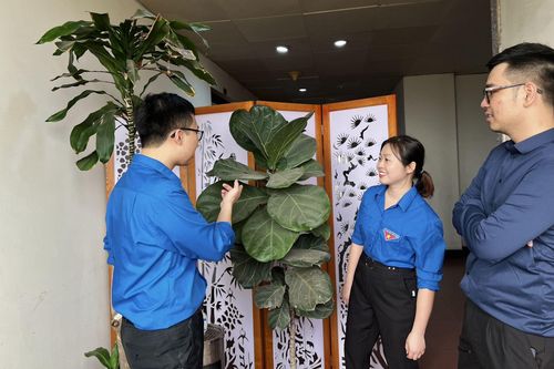 Vụ Pháp chế: 5 hoạt động thiết thực hưởng ứng phong trào 'Công sở văn minh, xanh - sạch - đẹp'