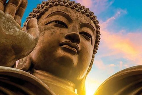 Hãy nỗ lực đạt sơ quả trong đời này