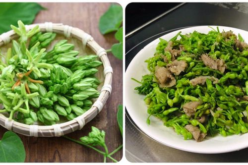 Hoa thiên lý có tác dụng gì?