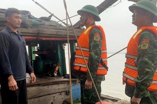 Ngư dân gặp khó khi tàu giã cào 'càn quét' biển gần bờ