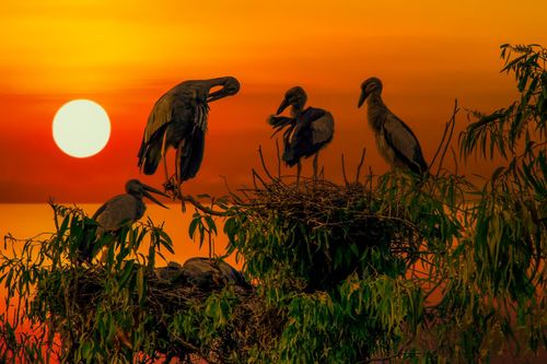 Đất nước Việt Nam tươi đẹp qua những bức ảnh của nghệ sĩ nhiếp ảnh Vũ Hải