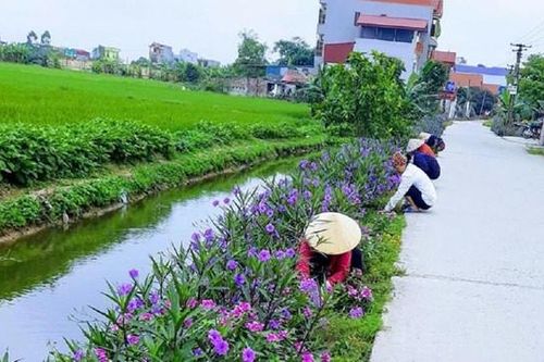 Bảo vệ môi trường từ những mô hình tự quản