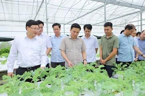 Hồi âm vệt bài: Vì sao nghị quyết thì hay, thực hiện lại 'gay trăm bề'? - Thẳng thắn nhận diện tồn tại để rõ hướng khắc phục