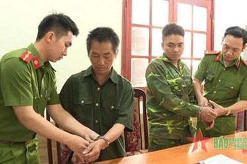 Điện Biên: Hai bố con vướng lao lý vì tội phá rừng