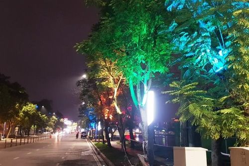 Hải Dương: 'Cây đổi màu' trên phố đi bộ, chợ đêm Bạch Đằng