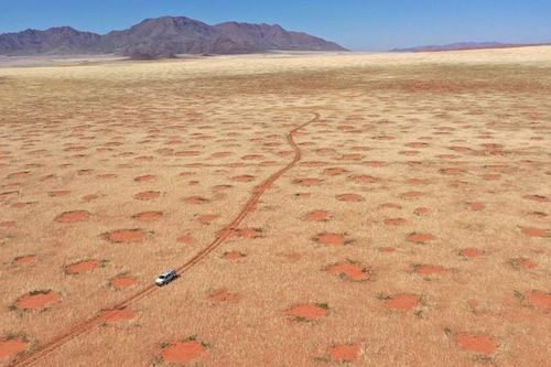 Lời giải nào cho những 'vòng tròn thần tiên' ở sa mạc Namibia?
