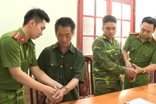 Bắt giam 2 bố con cùng hủy hoại rừng ở Điện Biên
