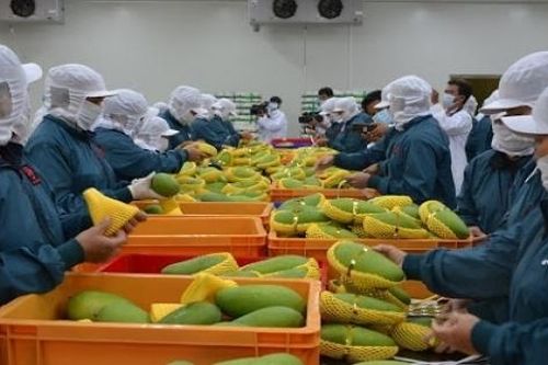 Tin tức kinh tế ngày 18/4: Xuất khẩu rau quả có nhiều triển vọng trong quý II