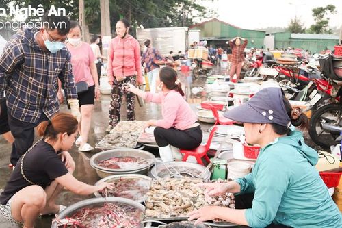 Nghệ An: Vào mùa du lịch, hải sản bắt đầu 'nhích' giá