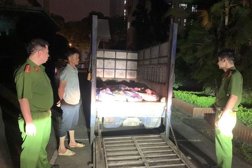 Vĩnh Phúc: Bắt quả tang đối tượng chở lợn chết, bốc mùi đi tiêu thụ