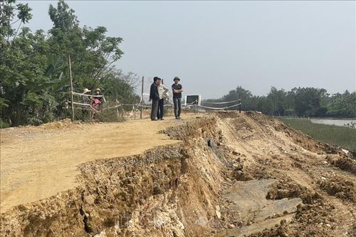 Khẩn trương tìm giải pháp khắc phục sự cố sạt lở đê tả sông Càn