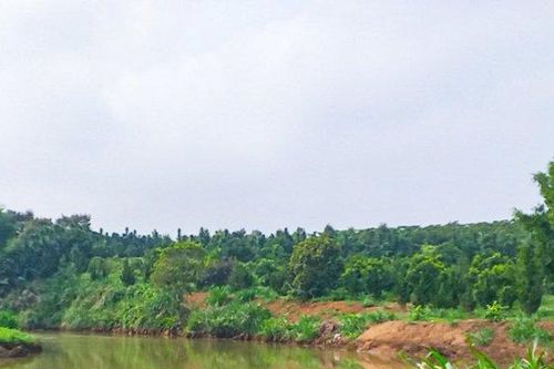 Lâm Đồng: Nhóm học sinh đi tắm sông, một em bị đuối nước tử vong
