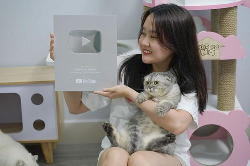 Sáng đi làm, chiều về làm 'con sen' 4 idol triệu views, 9x tăng gấp đôi thu nhập