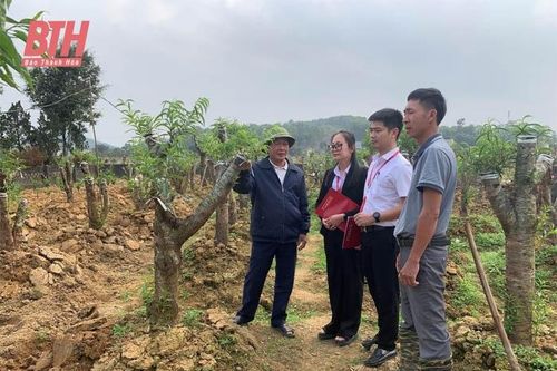 'Cánh tay nối dài' của Agribank Triệu Sơn