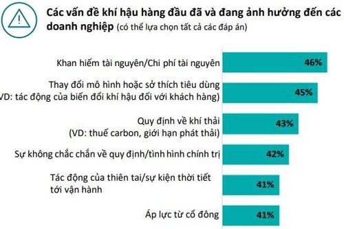 Kinh tế biến động, 75% lãnh đạo doanh nghiệp vẫn quyết đầu tư mạnh vào phát triển bền vững