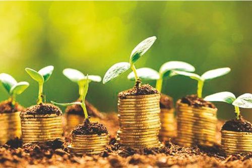 GDP có thêm 110-130 tỷ USD từ đầu tư vào năng lượng tái tạo và hydrogen