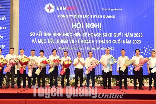 Công ty Điện lực Tuyên Quang phấn đấu giữ vững đơn vị nằm trong 10 đơn vị xuất sắc