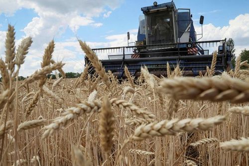 Điều gì khiến nhiều nước EU kiên quyết cấm nhập khẩu ngũ cốc từ Ukraine?