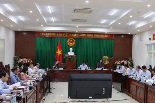 Thu thập thông tin, tham vấn chuyên gia đầu ngành