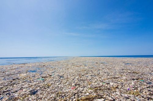 Phát hiện mới về đảo rác Thái Bình Dương
