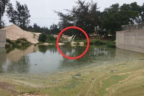 Chủ tịch tỉnh Quảng Bình chỉ đạo kiểm tra, xử lý nội dung Báo SK&ĐS phản ánh