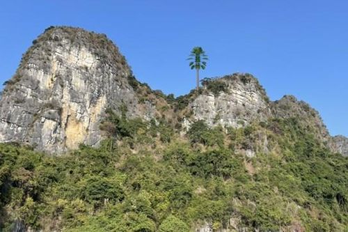 Quảng Ninh: Giải bài toán xóa 'vùng lõm' sóng di động trên vịnh Hạ Long