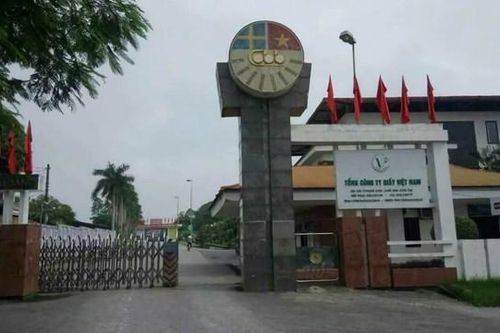 Phú Thọ: Một người tử vong tại Công ty Giấy Bãi Bằng