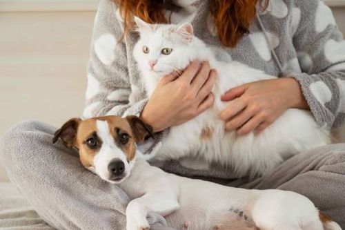 Nuôi thú cưng giúp kéo dài tuổi thọ