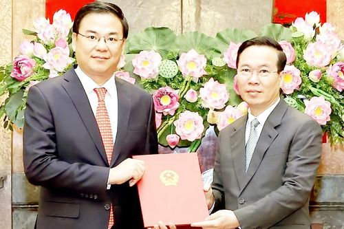 Chủ tịch nước tiếp các đại sứ trình quốc thư