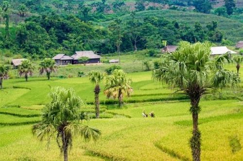 Ngày hội Văn hóa - Thể thao dân tộc Mông Đồng Hỷ diễn ra ngày 21/4