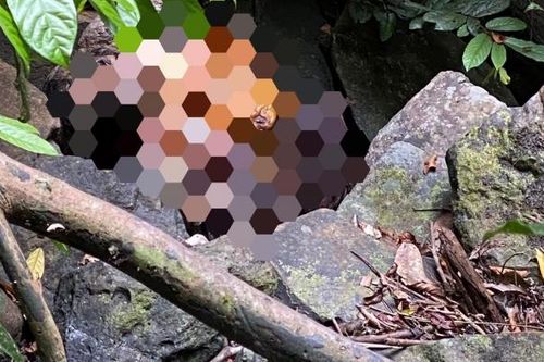 Gia Lai: Phát hiện thi thể người phụ nữ không mặc áo giữa rừng