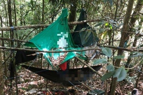 Phát hiện thi thể đang phân hủy trong rừng