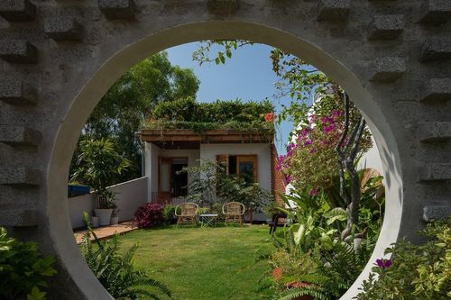 Ngôi nhà 'Dế Mèn' với không gian mát lành nhờ cây xanh, vườn rau sạch trên mái
