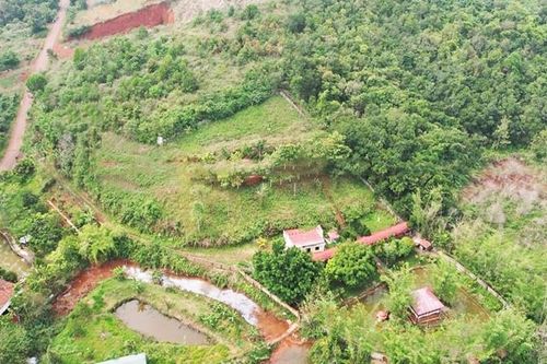 Đắk Nông sắp kiểm tra loạt dự án 'đất vàng' bỏ hoang