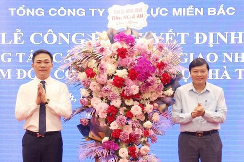 Điều động, bổ nhiệm Phó Giám đốc Công ty Điện lực Nghệ An làm Giám đốc Công ty Điện lực Hà Tĩnh