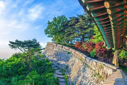Làm gì, ở đâu, ăn uống thế nào khi du lịch Nhật Bản, Hàn Quốc, Ấn Độ?