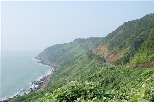 Bảo tồn, phát triển hệ sinh thái rừng trên bán đảo Sơn Trà
