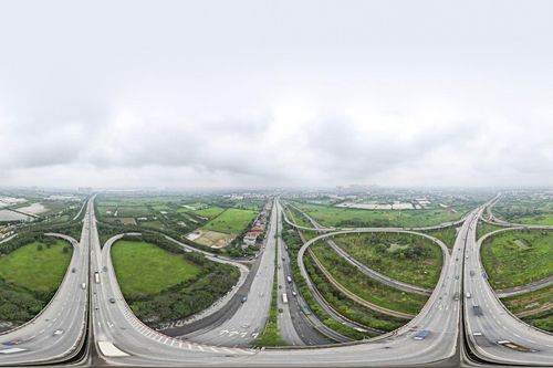 Cây di chuyển trong phố chết khô tại vườn ươm