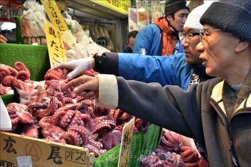 Hàn Quốc tăng cường giám sát hải sản nhập khẩu