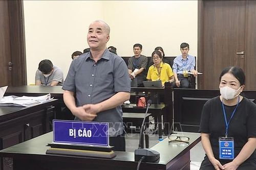 Vụ chuyển nhượng 'đất vàng' phố Bà Triệu, Hà Nội: Đề nghị thu hồi, hủy bỏ các sổ đỏ đã cấp