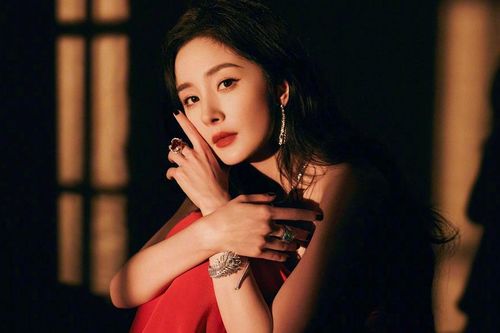 Dương Mịch bị chính fan lên tiếng trách mắng vì bỏ bê việc quay phim