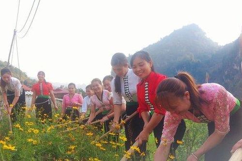 Điện Biên: Hiệu quả Cuộc vận động 'Xây dựng gia đình 5 không, 3 sạch'