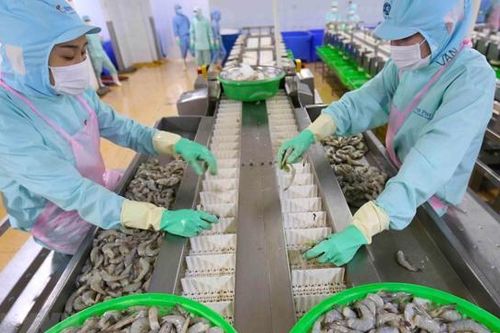 Xuất khẩu của Việt Nam sang Hàn Quốc và Nhật Bản còn rất khiêm tốn