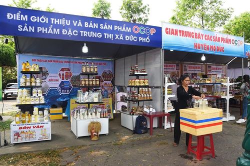 Quảng Ngãi: Khai mạc Triển lãm - Hội thi - Hội chợ Sinh vật cảnh mở rộng 2023