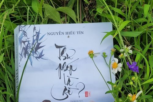 Thư pháp là gì? - Cuốn cẩm nang về nghệ thuật thư pháp