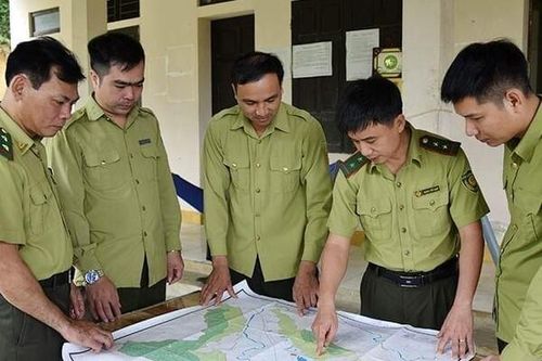 Hà Tĩnh: Tăng cường công tác PCCC, bảo vệ màu xanh cho đại ngàn