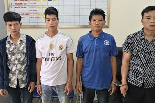 Hà Giang: Bắt giữ 4 đối tượng phá rừng tại huyện Bắc Quang