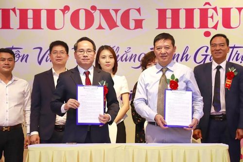 VNEA và VATAP ký hợp tác chống hàng giả, bảo vệ thương hiệu
