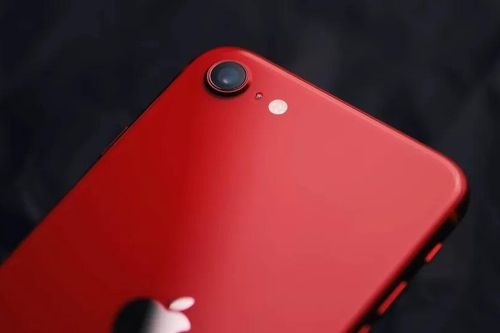 Tin buồn đối với người chờ iPhone nhỏ gọn