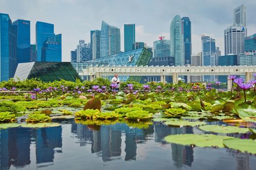 'Vũ khí bí mật' giúp Singapore ngược chiều thế giới trong sóng nhiệt